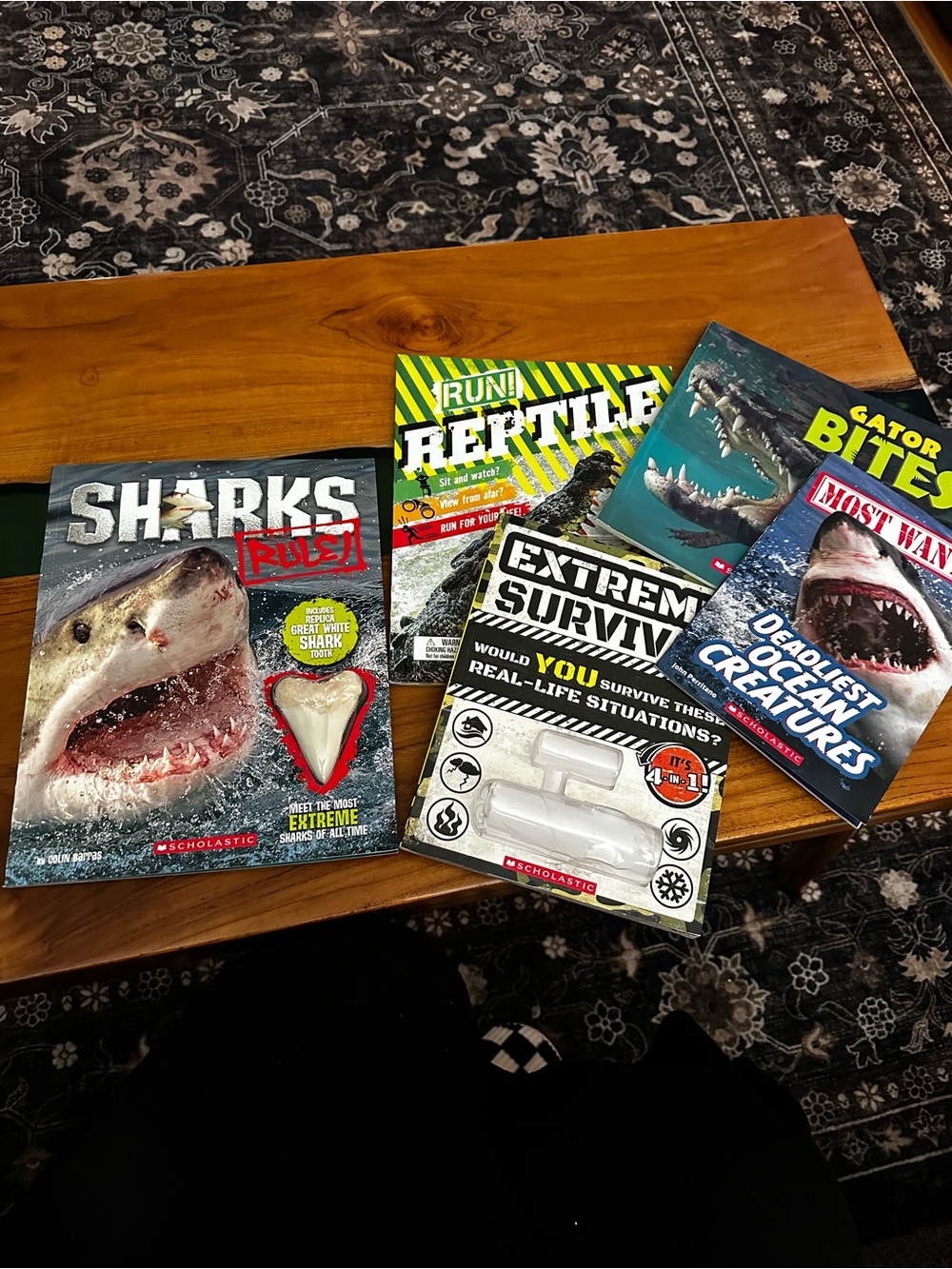 Book Bundle!!! Scholastic Kids' Ocean & Survival Books Set sharks gators survive